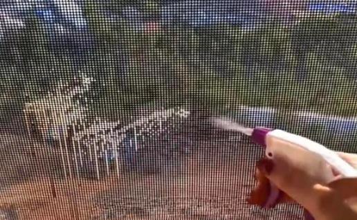 汇总13个生活小妙招 衣物除螨小技巧教给大家 汇总13个生活小妙招 衣物除螨小技巧教给大家