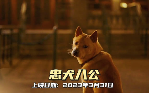 中国版《忠犬八公》是根据什么电影改编的 故事原型是谁 中国版《忠犬八公》是根据什么电影改编的 故事原型是谁