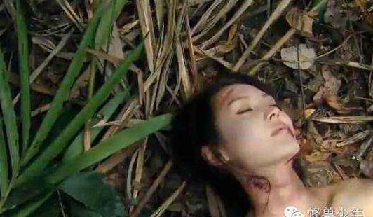 段国诚简介:湖北杀人狂段国诚的一生(图)