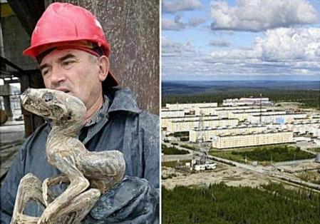 曝矿工矿道里挖出恐龙木乃伊(图)