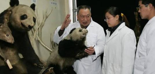 “中国大熊猫之父”胡锦矗去世 “中国大熊猫之父”胡锦矗去世