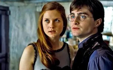 哈利波特的真正妻子是谁 哈利波特的真正妻子是谁