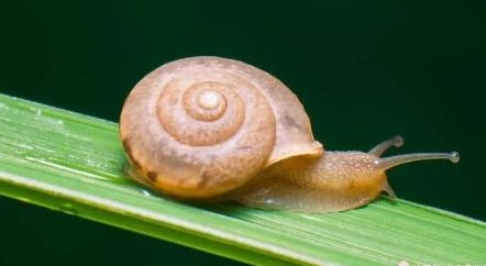 激昂振奋人心十大经典歌曲 (推荐3首) 激昂振奋人心十大经典歌曲 (推荐3首)