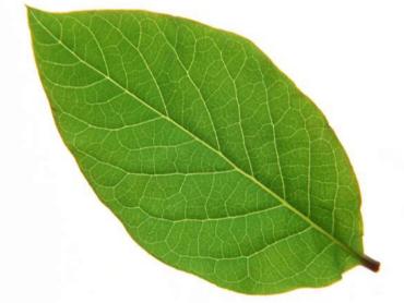 好唱的歌适合五音不全的人（推荐3类）