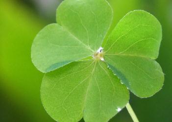 好唱的歌适合五音不全的人（推荐3类）