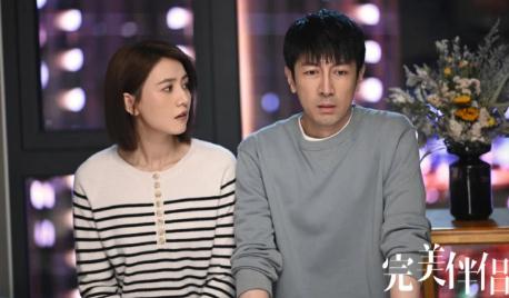 完美伴侣陈珊最后和谁在一起了