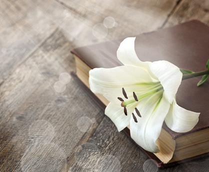 民间最有效的丰胸小妙招