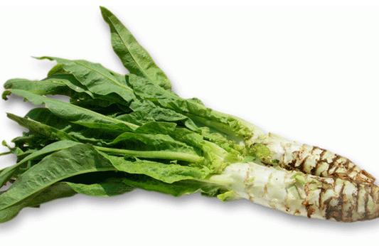 吃什么丰胸最有效 日常10大丰胸食物让你波涛汹涌