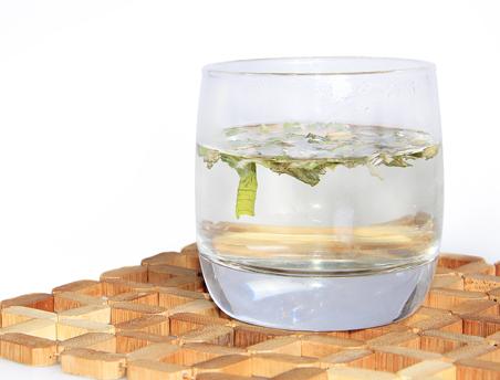 女人喝茶能减肥吗