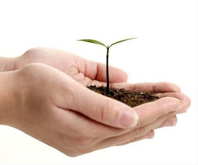 怎么护理双手？冬季最简单有效的的手部保养方法