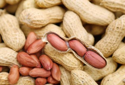 月经期吃什么可丰胸