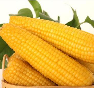 月经期吃什么可丰胸