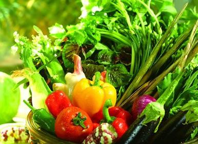 冬天怎么减肥最有效