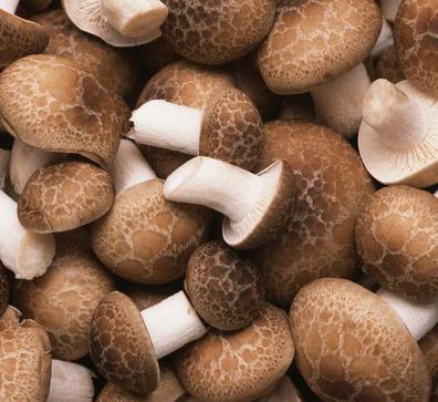 吃什么食物可以排毒