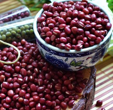 吃什么食物可以排毒 吃什么食物可以排毒