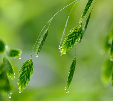 12星座容易为什么事瞎操心