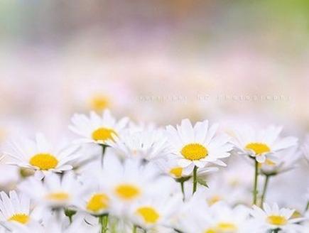 12星座容易为什么事瞎操心