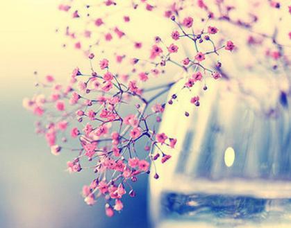 这些星男超不擅长撒谎