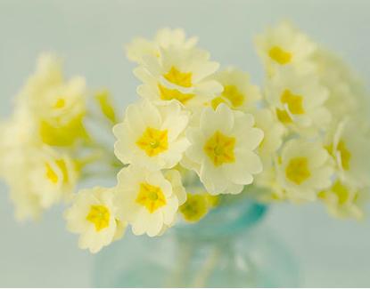 感情出现裂痕12星座补还是摔