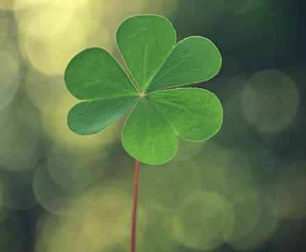 有肚量又热情的星座女