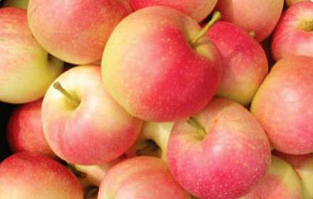 吃什么食物减肥最快