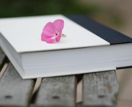 2月财情兼收的生肖排行榜