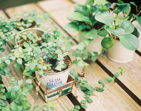 日子过得最幸福的3大星座女