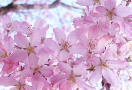 桃花缠身星座闷骚男