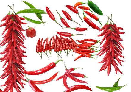 吃哪种食物可以减肥