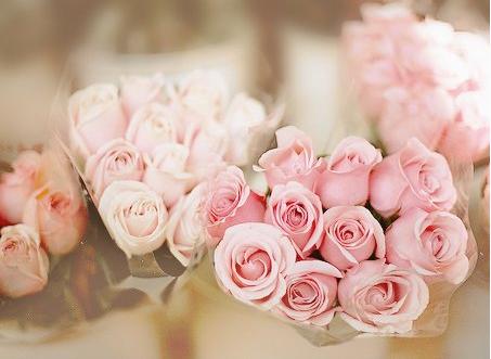 2017年十二生肖3月份运势 十二生肖2017年3月运势详解