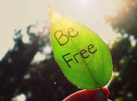 2017年会有贵人罩着你吗