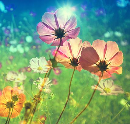 2017年会有贵人罩着你吗