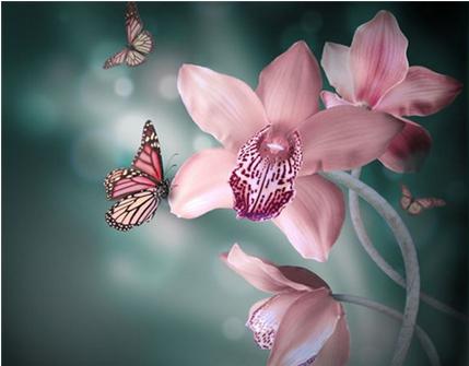 虚胖的人怎么减肥