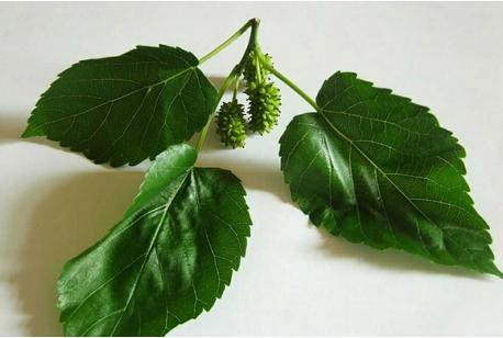 怎样才能消去痘疤