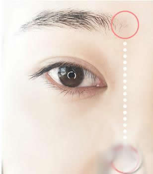 新手修眉画眉教程 新手修眉画眉教程