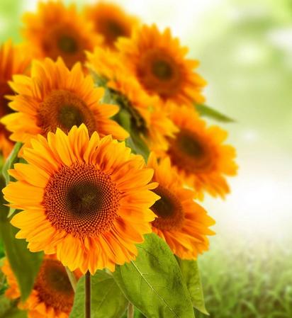 几号出生的人是自己的命中贵人