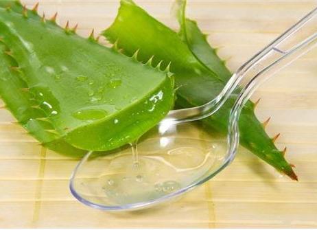 芦荟胶祛痘的正确用法 芦荟胶祛痘的正确用法