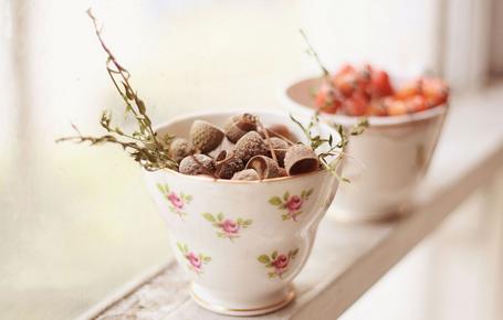 水瓶座和什么星座最配