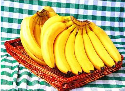 减肥期间怎么补充营养