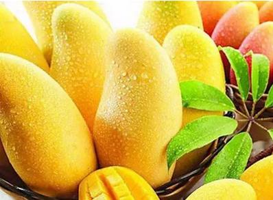 去皱纹用什么面膜好 自制去皱面膜方法大全