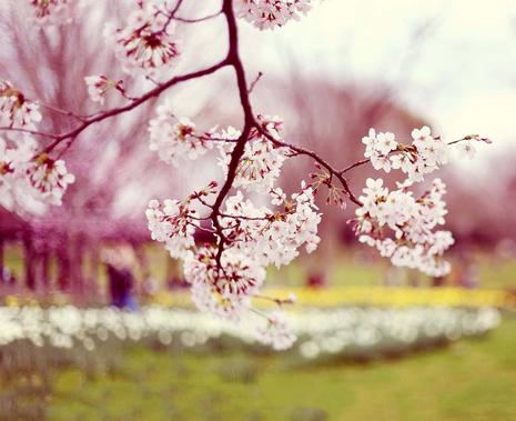 12月22日是什么星座的 12月22日是什么星座的