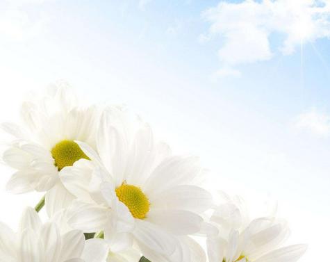 12月22日是什么星座的 12月22日是什么星座的