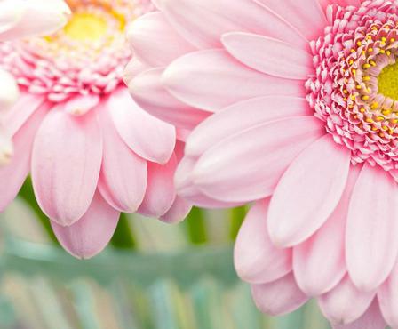 12月22日是什么星座的 12月22日是什么星座的