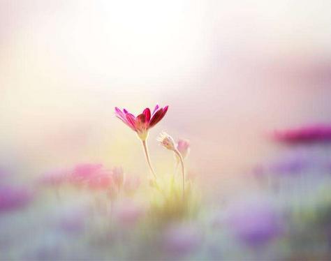 12月22日是什么星座的