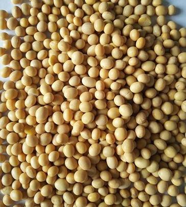 身体浮肿吃什么能消肿 身体浮肿吃什么能消肿