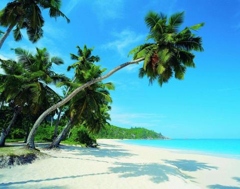 4月20日到底是哪个星座