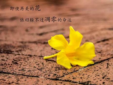 属马的几月出生最好 属马的几月出生最好