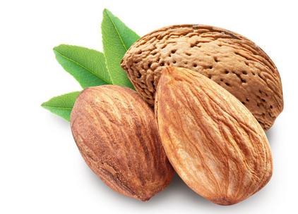 睡觉前饿了吃什么好