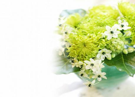 属蛇的今年多大2017 属蛇的今年多大2017