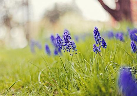 脾气太差动不动就喊分手的星座女 脾气太差动不动就喊分手的星座女